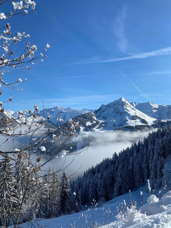 Hotel Rhodos Morzine Avoriaz Exterior photo